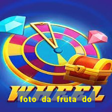 foto da fruta do blox fruits